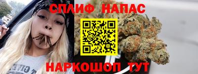 дмт Новозыбков