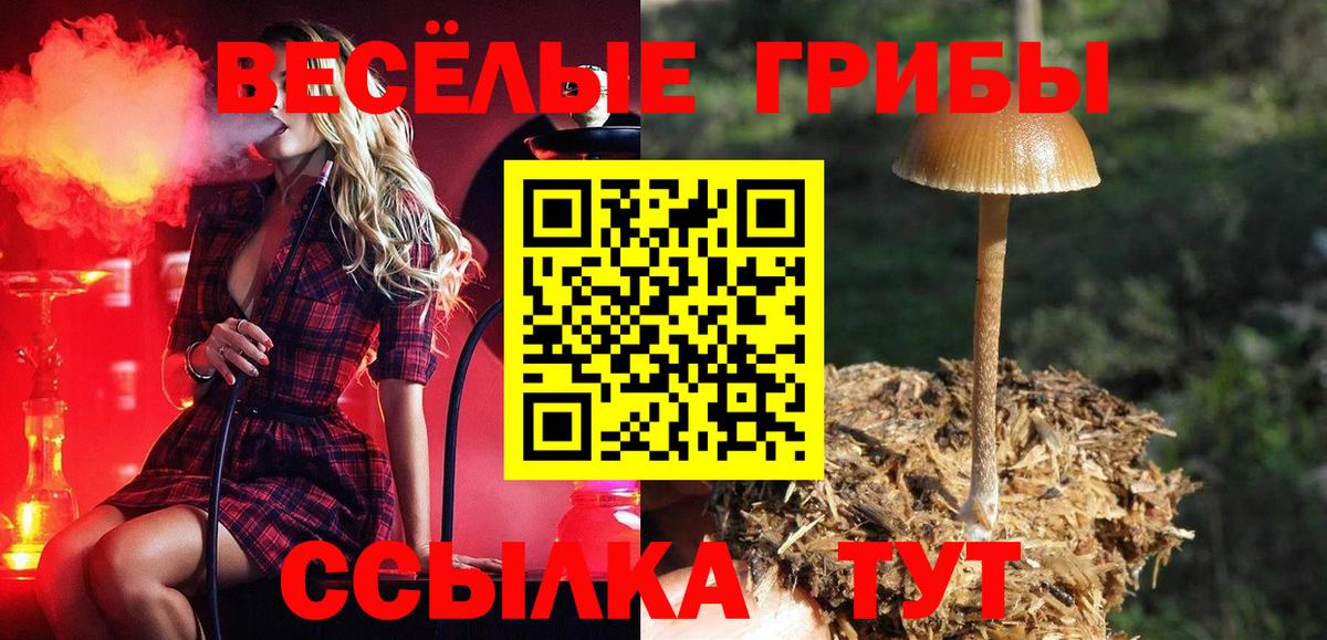 Тольятти  Галлюциногенные грибы Cubensis  Вход с VPN 