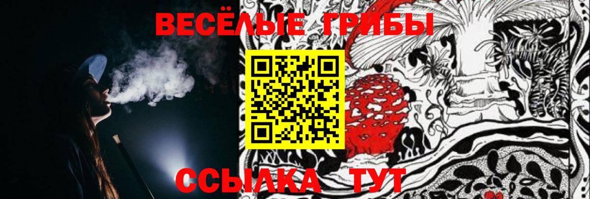 А ПВП СК кристаллы  КОКАИН  ГАШИШ  Тольятти  Купить закладку  Меф кристаллы  Бошки Шишки  Вход с VPN 
