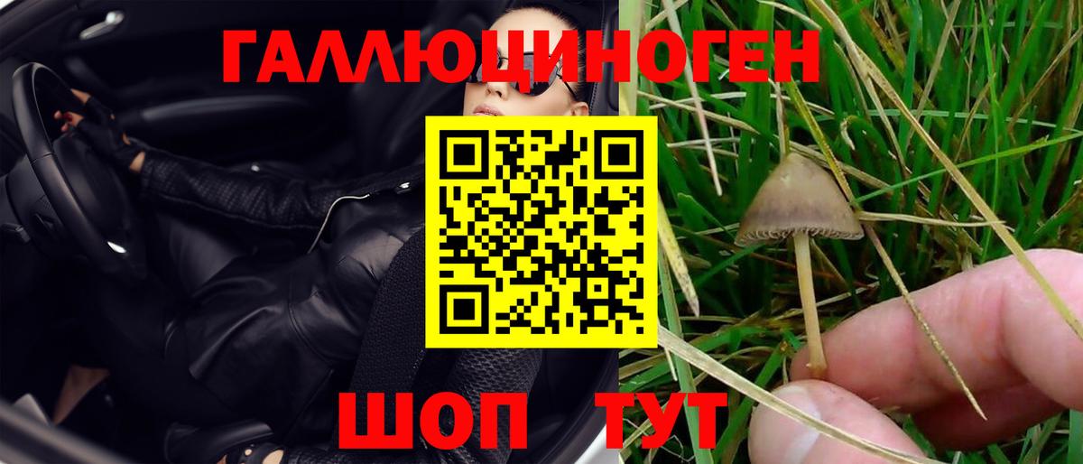 Псилоцибиновые грибы мицелий Тольятти